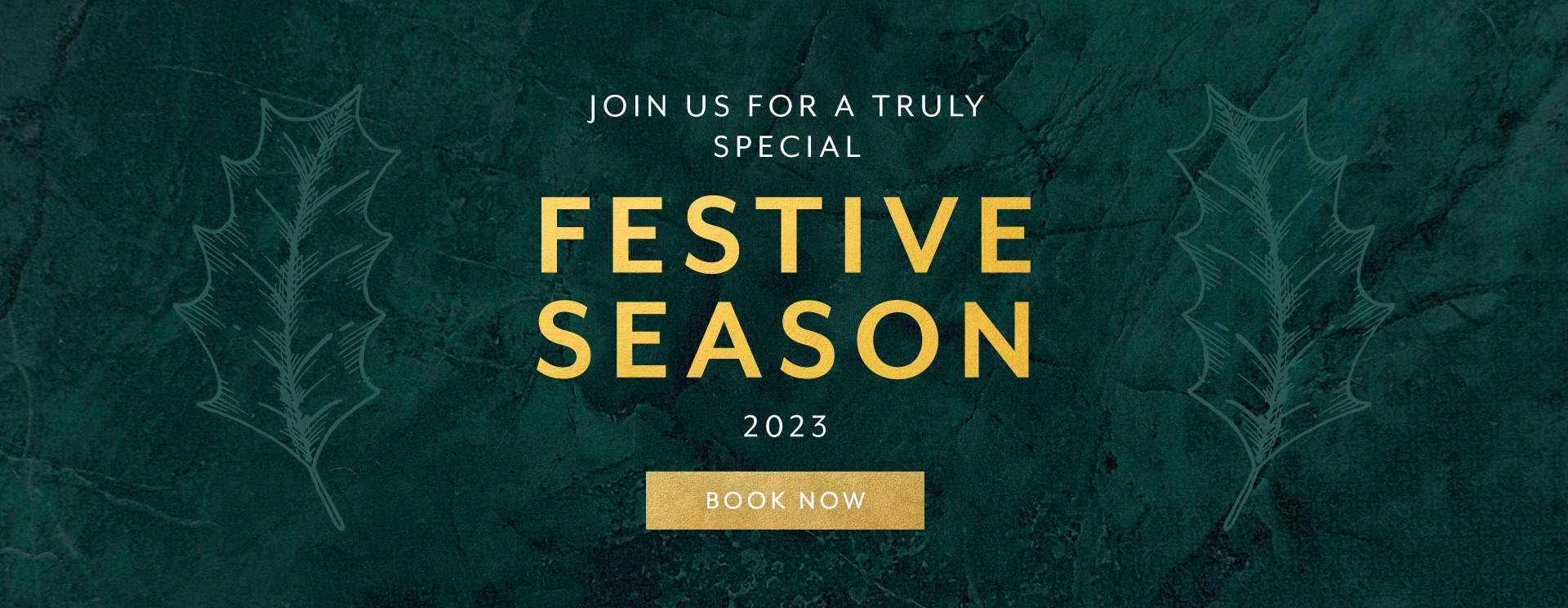 Christmas 2023 at Godstone