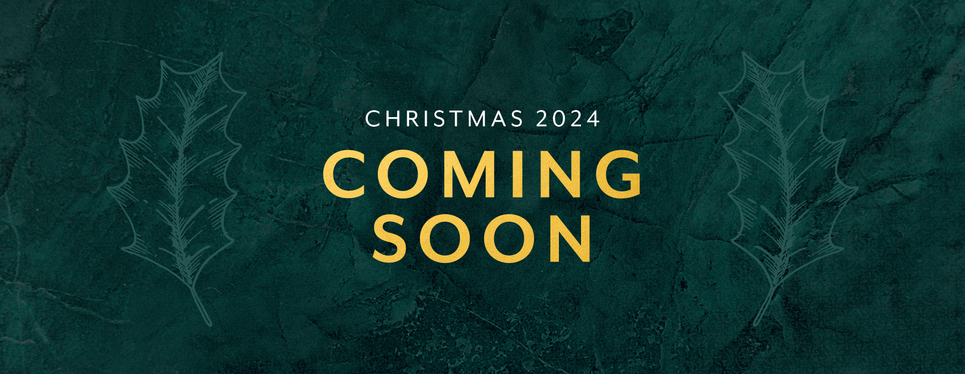A Beautiful Boxing Day 2024 in Godstone The Bell Inn
